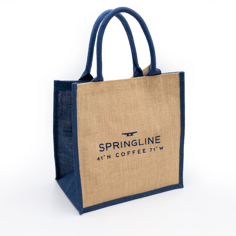 Springline Beach Bag